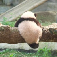 みつの橋の向こう
