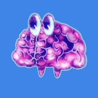 クサカベメノウ