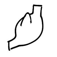 胃鮫