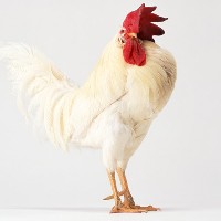 塩爺の小銭稼ぎ