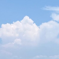 くもうぃす