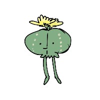 ひほほ