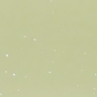 ミサキじょりじょり