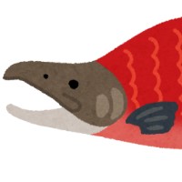 紅鮭丸