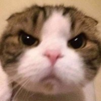 すい