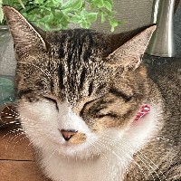 ジョン