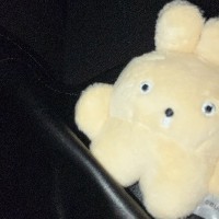 たまごっち