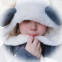 紫珠