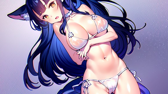 シルバーパス＋心付け